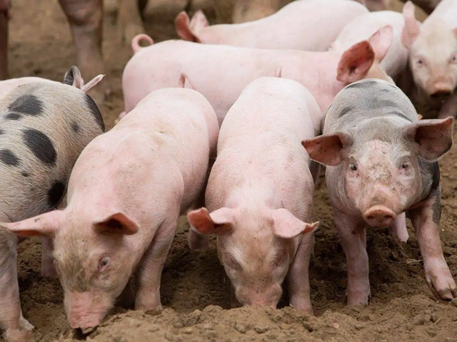 ＾ҪעʲôƺҪһҪĵ