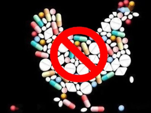 ϲǲΰ룻Żƽ