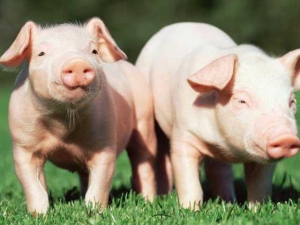 ʰʹʲôôбҪȫ