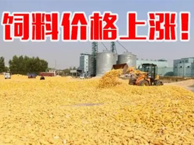 ںϼ۸ٴϳҲп࣡ﶬҪԵø