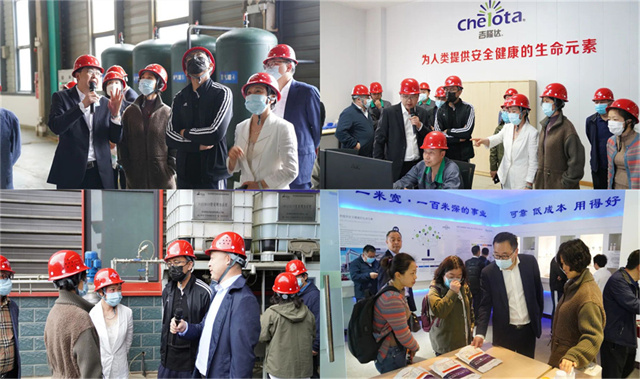 ͨɷݴιmgԵл΢Ԫع