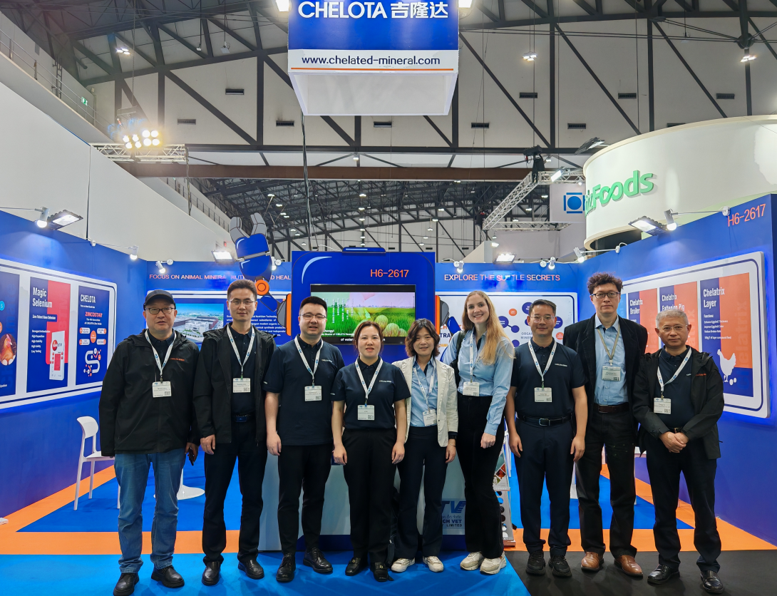 ̩ˣCHELOTAmgԵVIVޣ̩ʼԼչ